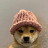 KRW-WIF icon